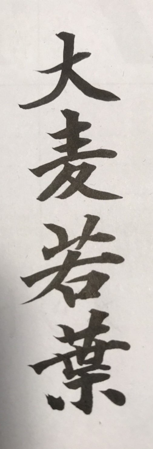 大麦若葉