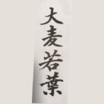 大麦若葉